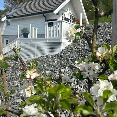 Apartament Fjord Road Hjelmeland Zewnętrze zdjęcie