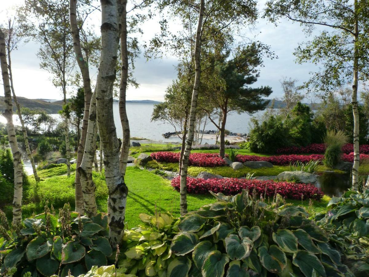 Apartament Fjord Road Hjelmeland Zewnętrze zdjęcie