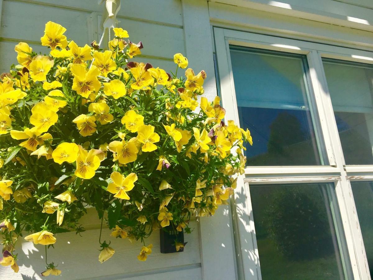 Apartament Fjord Road Hjelmeland Zewnętrze zdjęcie