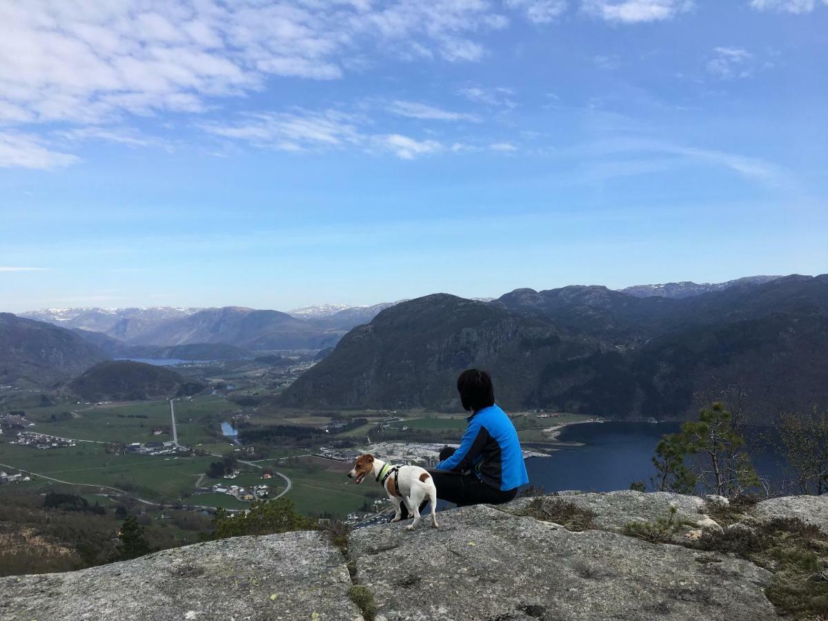 Apartament Fjord Road Hjelmeland Zewnętrze zdjęcie