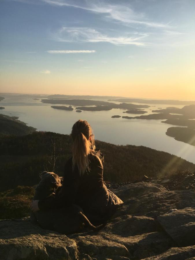 Apartament Fjord Road Hjelmeland Zewnętrze zdjęcie